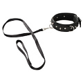 Чёрный ошейник с поводком Orion Collar and Leash 24930041001