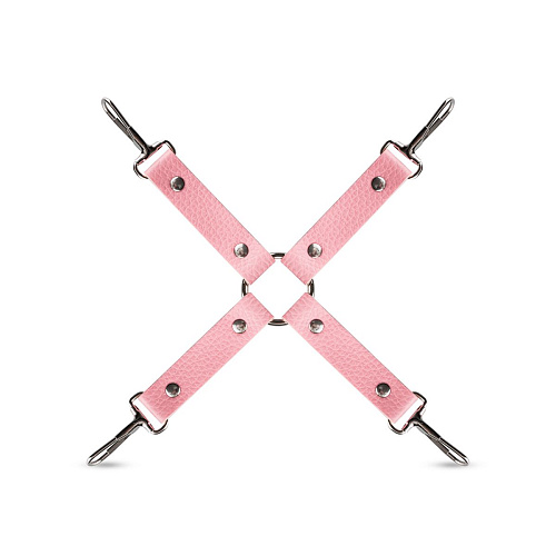 Розовый эротический набор EDC Wholesale Pink Pleasure LBX404