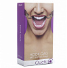 Фиолетовый расширяющий кляп Shots Media BV Hook Gag OU106PUR