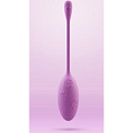 Фиолетовое виброяйцо с пультом ДУ LuxeLuv DO purple