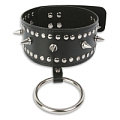 Чёрный ошейник с заклёпками и кольцом Пикантные штучки DP070