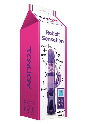 Фиолетовый вибратор-ротатор с пультом ДУ Toy Joy RABBIT SENSATION REMOTE 3006009693 (23 см)