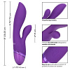 Фиолетовый вибромассажер-кролик California Exotic Novelties Aura Dual Lover SE-0735-40-3 (20,25 см)