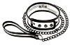 Прозрачный ошейник с поводком NS Novelties Bare Bondage NSN-1210-21