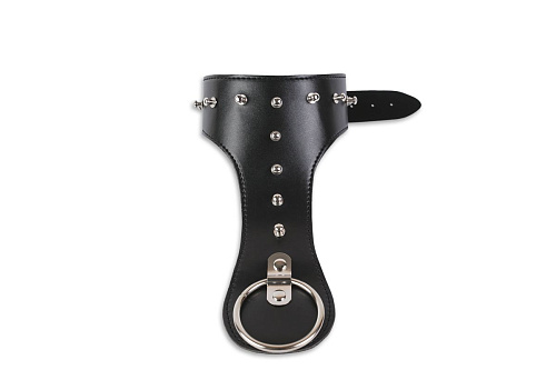 Чёрный удлинённый ошейник с кольцом Пикантные штучки DP081