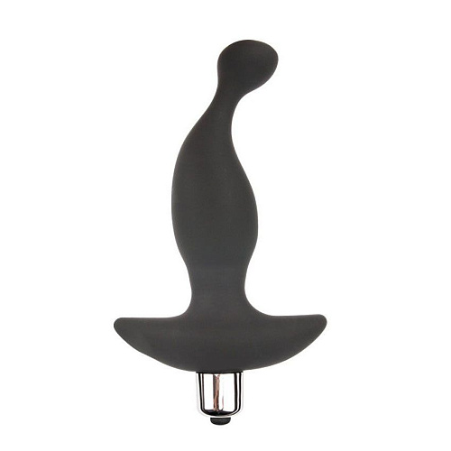 Чёрный вибратор для массажа простаты Bior toys Sex Expert Back Party SEM-55030 (13,5 см)