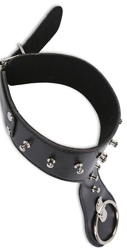 Чёрный удлинённый ошейник с кольцом Пикантные штучки DP081