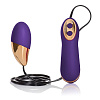 Фиолетовое виброяйцо с проводным пультом California Exotic Novelties Entice Hope SE-4720-30-3