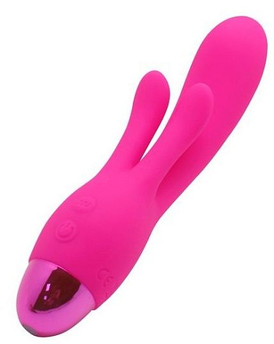 Розовый вибратор Howells INDULGENCE Rechargeable Frolic Bunny 174216pink (18,7 см)