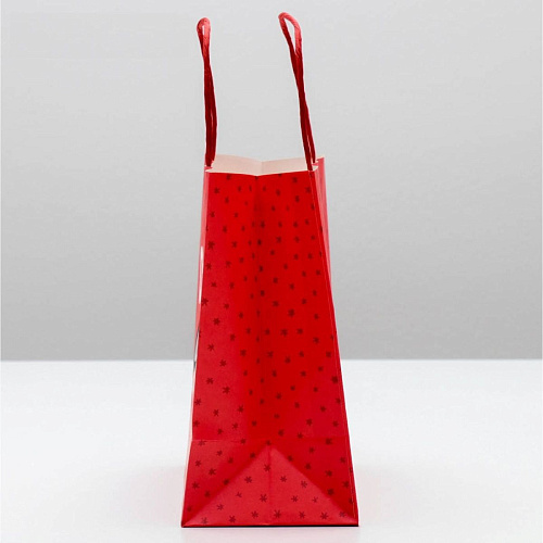 Красный подарочный пакет Сима-Ленд «Ого! Какой подарок» 4865438 (22×22×11 см)