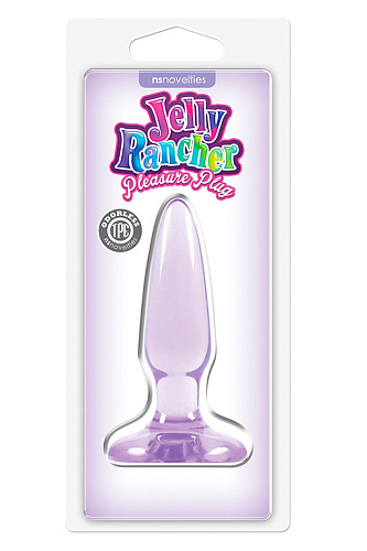 Фиолетовая анальная мини-пробка NS Novelties Jelly Rancher Pleasure Plug Mini NSN-0450-15 (8,1 см)