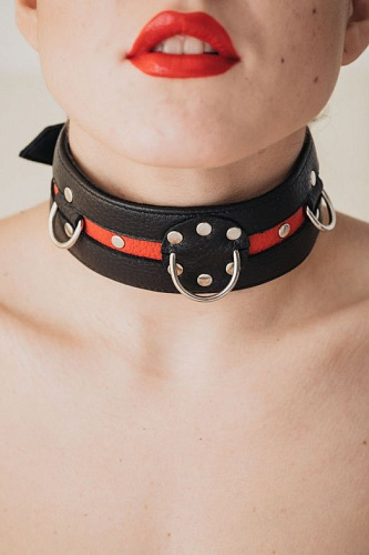 Чёрно-красный ошейник на пряжке БДСМ арсенал 55023