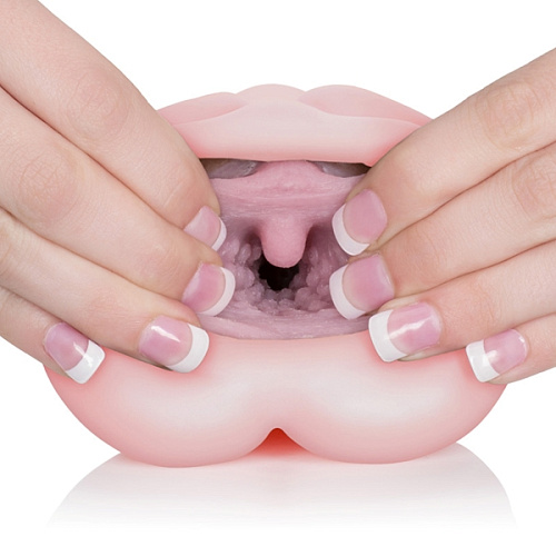 Розовый мастурбатор-вагина California Exotic Novelties VIVID RAW COCK TEASE SE-7515-10-3