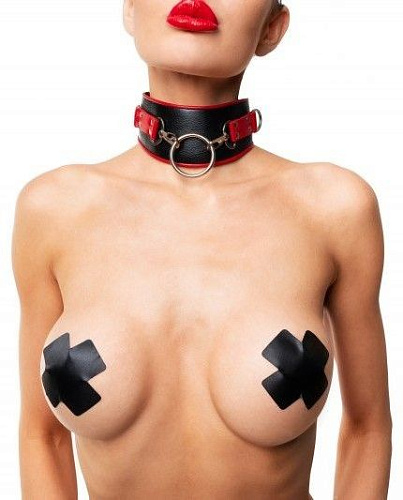 Чёрно-красный ошейник с колечками БДСМ арсенал 912-11 BX DD