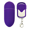 Продолговатое фиолетовое виброяйцо на пульте ДУ Baile BI-014057-0603S