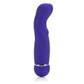 Фиолетовый вибромассажёр California Exotic Novelties Posh 10-Function Petite Teaser 4 Purple SE-0725-20-3 (14,7 см)