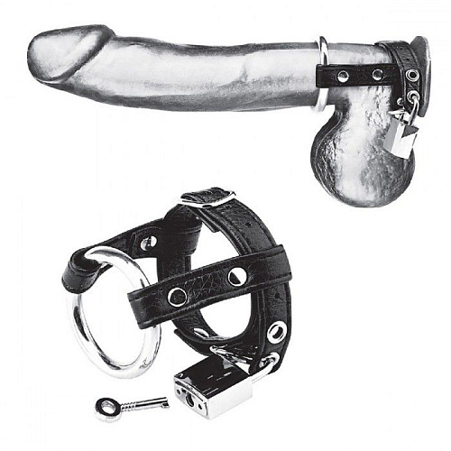 Чёрная утяжка на пенис на замочке BlueLine Duo Cock And Ball Lock BLM3050