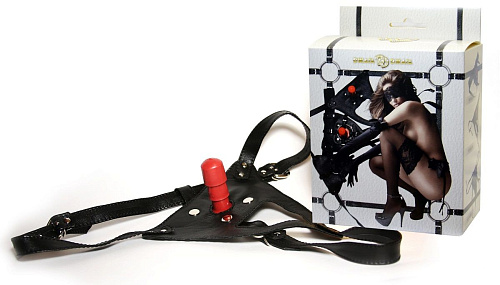 Чёрные трусики со штырьком для фиксации насадок Сумерки богов 953-00 BX DD