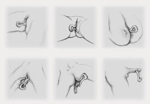 Вибратор с ушками синего цвета Fun Toys Gvibe Mini FT10295