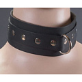 Чёрный кожаный ошейник с заклепками Подиум Р282-Б