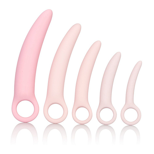 Набор из 5 фаллоимитатров телесного цвета разного размера California Exotic Novelties Sili Dilator 5 P SE-4805-05-3