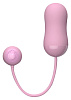 Розовое виброяйцо Toy Joy BIBI REMOTE EGG 3006010186