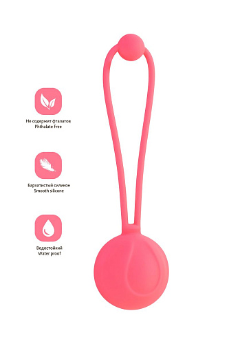 Коралловый вагинальный шарик ToyFa ROSY 564005