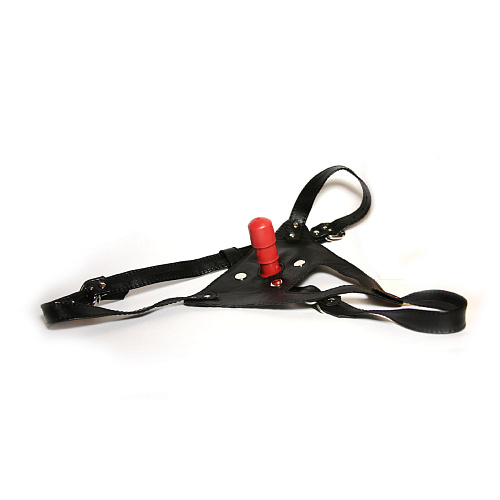 Чёрные трусики со штырьком для фиксации насадок Сумерки богов 953-00 BX DD