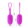 Фиолетовое виброяйцо с петлёй Baile Cedric BI-014270-2 (13,8 см)