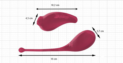 Бордовый двойной набор: виброяйцо и клиторальный стимулятор Adrien Lastic Inspiration 40783