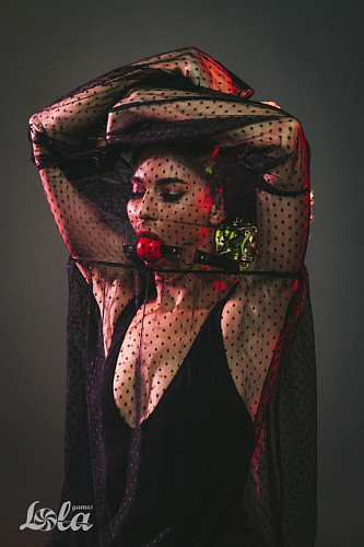 Красный кляп-шарик на чёрных ремешках Lola toys Love Spell 1144-02lola