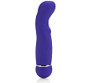 Фиолетовый вибромассажёр California Exotic Novelties Posh 10-Function Petite Teaser 4 Purple SE-0725-20-3 (14,7 см)