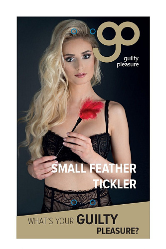 Чёрная пластиковая метелочка с красными пёрышками Blush Novelties Small Feather Tickler 520022 (32 см)