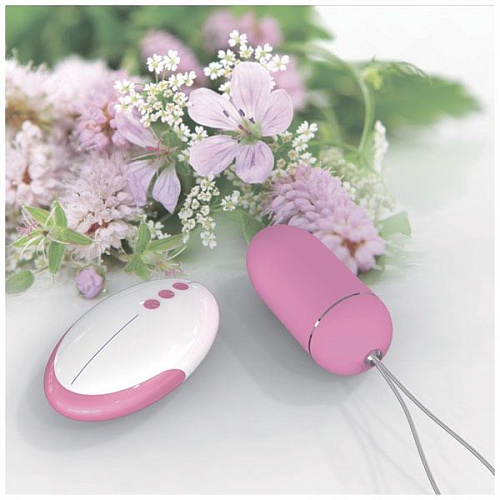 Розовое виброяйцо с пультом ДУ Odeco Remote Control Egg OD-1201RE PINK