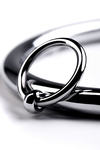 Металлический ошейник с кольцом и ключиком ToyFa 717181-S