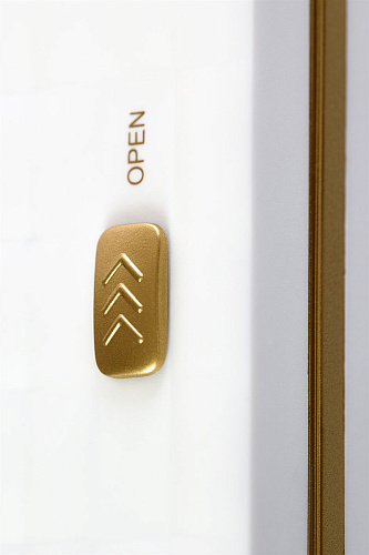 Бело-золотистый контейнер для обработки Rosa Rugosa Security Knight Q3