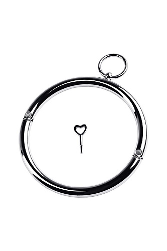 Металлический ошейник с кольцом и ключиком ToyFa 717181-S