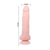 Телесный фаллоимитатор на присоске Baile Super Dildo BW-008092N (21,5 см)