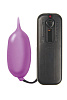 Фиолетовое виброяйцо Topco Sales Penthouse Secrets Cyber Flicker Shy Purple 1093236