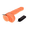 Вибратор с большой мошонкой телесного цвета Baile BW-008041Z (25 см)