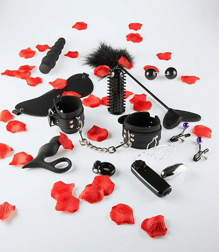 Набор чёрных стимуляторов и аксессуаров LOVETOY STARTER Toy Joy 3006010077