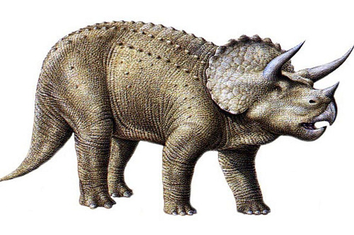 Чёрный фаллоимитатор O-Products Ceratops 115-RR05 (21,5 см)