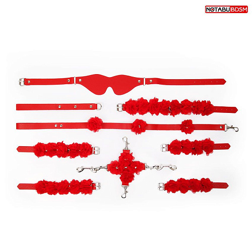 Стильный красный набор БДСМ в сумке Bior toys NTU-80623