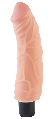 Реалистичный вибратор телесного цвета со встроенным пультом управления NMC FPBC098A00-051 (15,2 см)