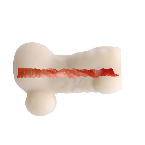 Мастурбатор-анус с мужским торсом и мошонкой Baile Back Spirit  BM-009177-1002