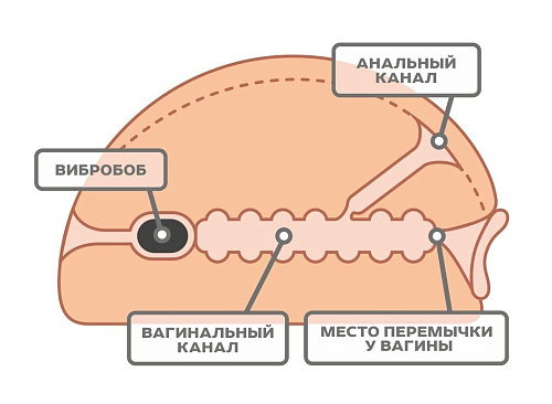 Реалистичный мастурбатор-вагина телесного цвета из киберкожи с вибрацией LOVETOY (А-Полимер) 667421