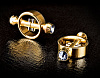 Золотистые зажимы на соски на магните Pipedream Magnetic Clamps PD3988-27