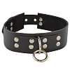Чёрный кожаный ошейник с кольцом и клепками Sitabella 3195-1