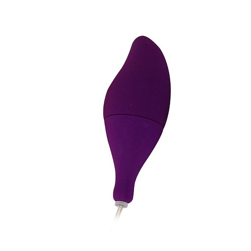 Вибронабор: вагинальные шарики, 5 стимуляторов и пульт-контроллер Baile Climax Combo BW-012005