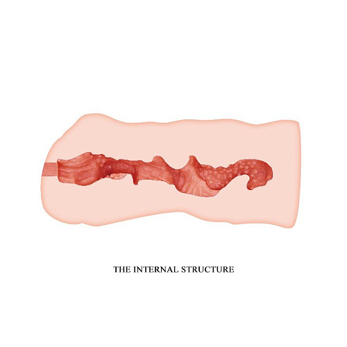 Мастурбатор-вагина телесного цвета Baile Linda BM-009155U